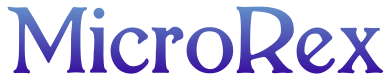 Partner Domino IT 2